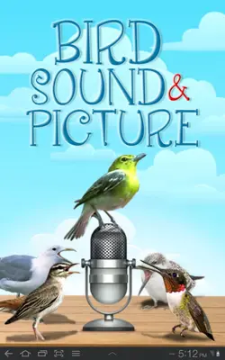 Bird Sound and Picture android App screenshot 9